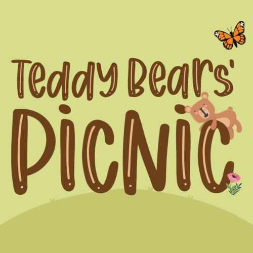 Teddy Bears Picnic Strathpine 2024